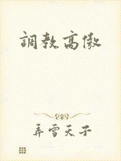 调教高傲