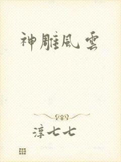 神雕风云