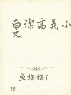 白洁高义小说全文封面