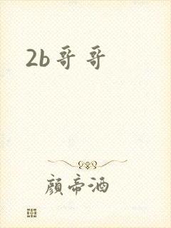 2b哥哥
