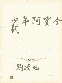 少年阿宾全集下载