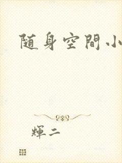 随身空间小说封面