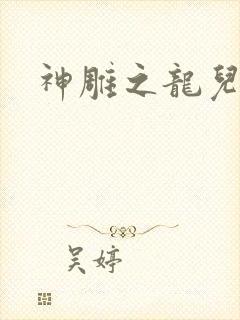 神雕之龙儿别传封面