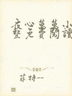 夜心万万小说完整免费阅读全文封面