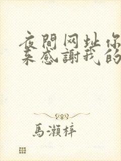 夜间网址你会回来感谢我的