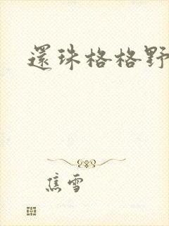 还珠格格野传