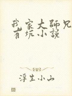 我家大师兄脑子有坑小说封面