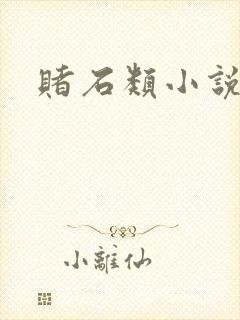 赌石类小说