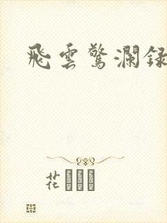 飞云惊澜录