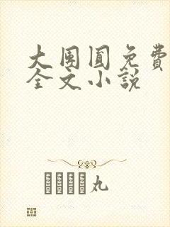 大团圆免费阅读全文小说
