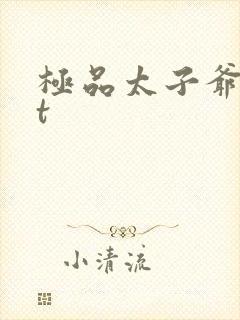 极品太子爷txt