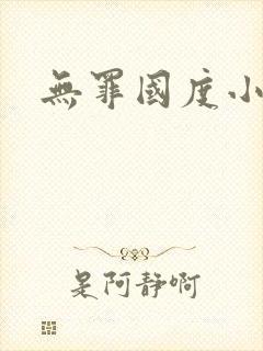 无罪国度小说