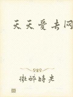 天天爱去网