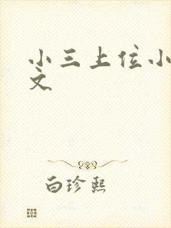 小三上位小说全文