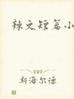 辣文短篇小说