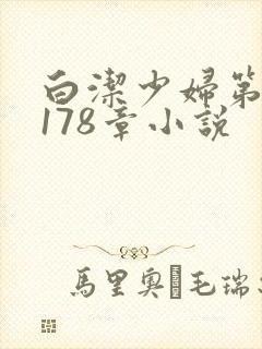 白洁少妇第1一178章小说封面