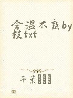 含温不熟by词枝txt封面