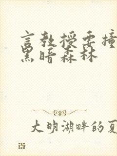 言教授要撞坏了黑暗森林
