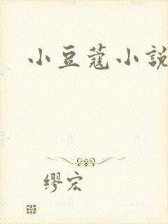 小豆蔻小说