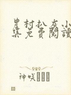 农村扒灰小说全集免费阅读