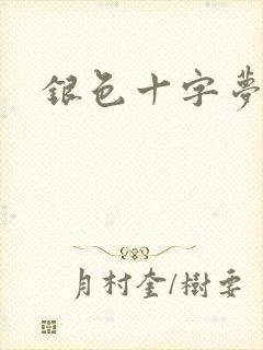 银色十字梦封面