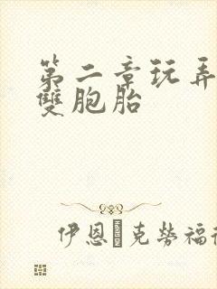 第二章玩弄少妇双胞胎