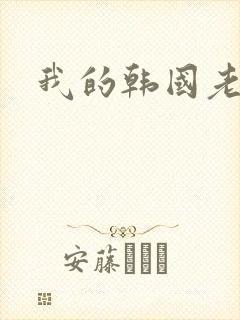 我的韩国老婆封面