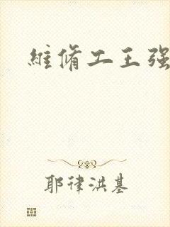 维修工王强张婷封面