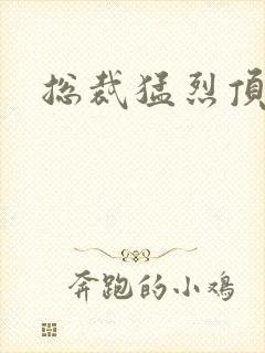 总裁猛烈顶弄h