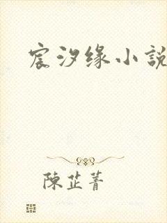 宸汐缘小说