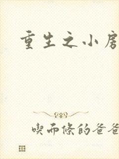 重生之小房东