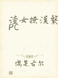 渣女撩汉系统NPC