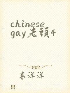 chinesegay老头4封面