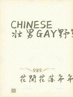 CHINESE壮男GAY野战强迫TUBE封面