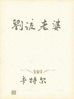 刘流老婆
