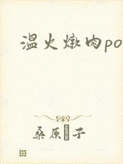 温火炖肉pop