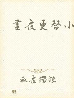 昼夜更替小说