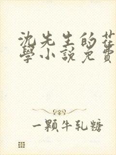 沈先生的花式教学小说免费