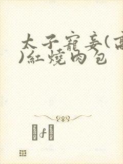 太子宠妾(高肉)红烧肉包