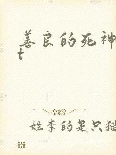善良的死神txt