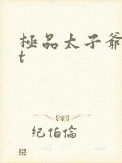 极品太子爷txt