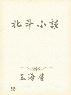 北斗小说
