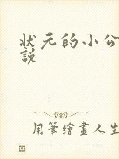 状元的小公主小说封面