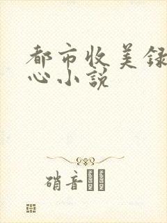 都市收美录宁素心小说