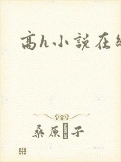 高h小说在线看