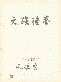 文强后台封面