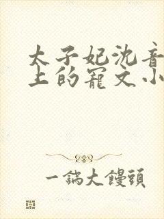 太子妃沈音和皇上的宠文小说