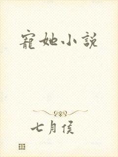 宠她小说封面
