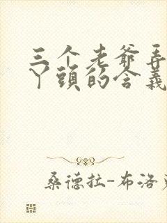 三个老爷弄一个丫头的含义封面