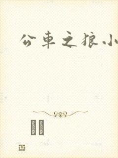 公车之狼小说